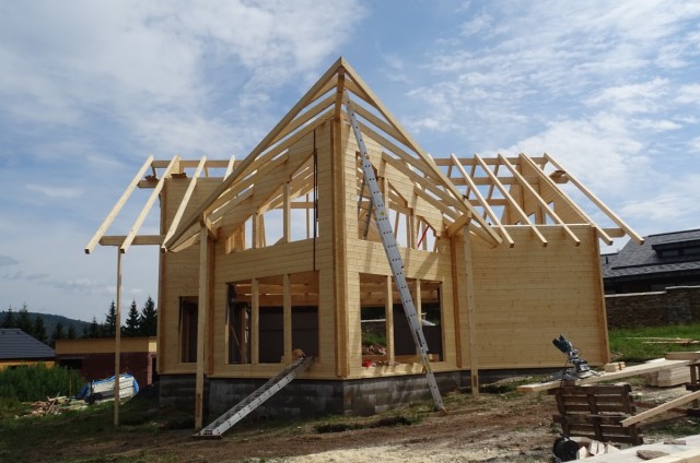 Luxusní srub Litvínov