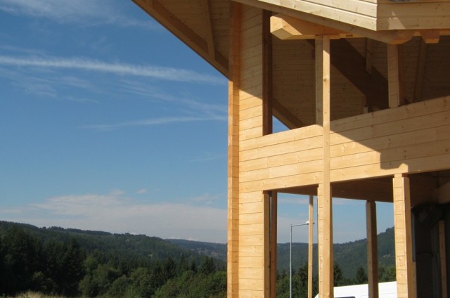 Luxusní srub Litvínov