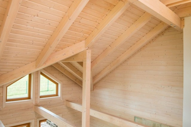 Galerie srubového domu