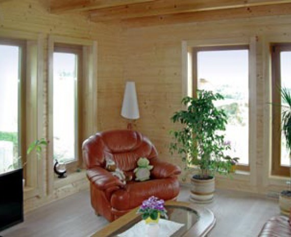 Nízkoenergetický srub - únor 2013