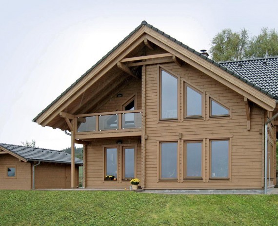 Nízkoenergetický srub - únor 2013