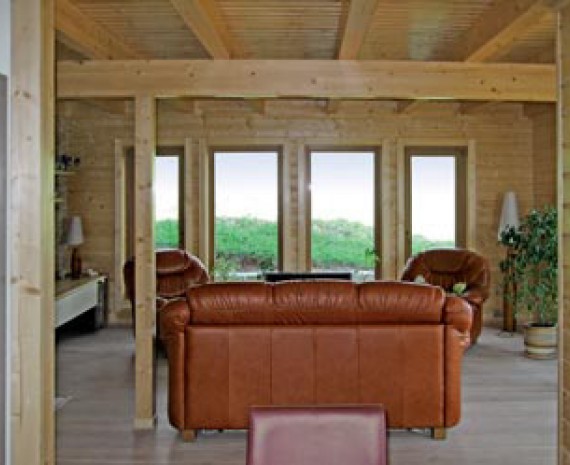 Nízkoenergetický srub - únor 2013