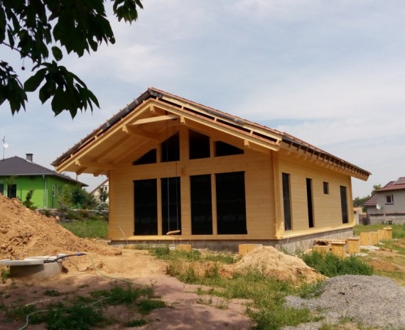 Útulný srubový dům