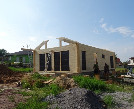 Útulný srubový dům