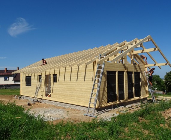 Útulný srubový dům