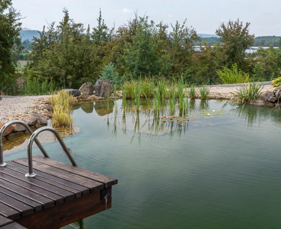 Koupací jezírko na zahradě srubu