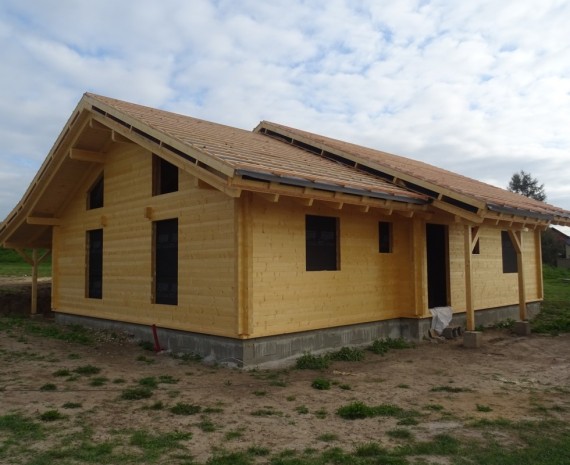 Přízemní srubový dům