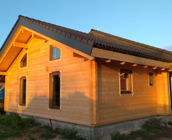 Přízemní srub s oknami