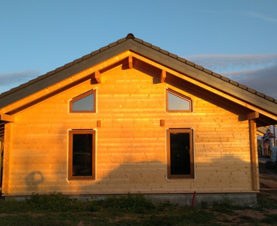 Přízemní srub s oknami a venkovním nátěrem