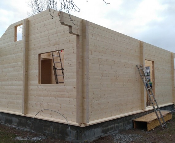 Štítová stěna srubu