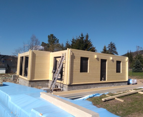 Moderní srub Dolní Morava