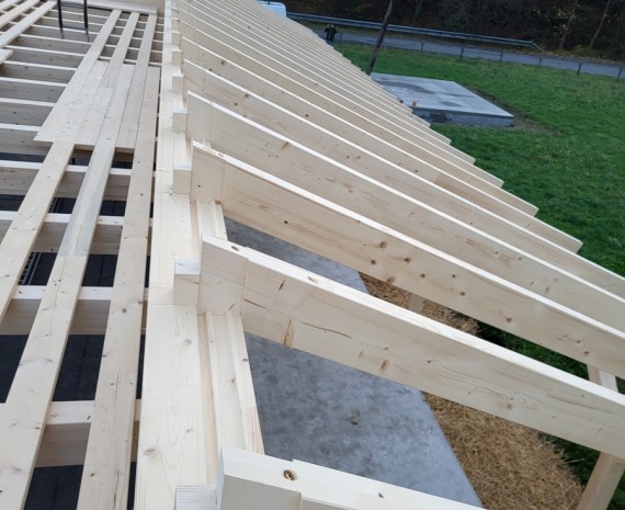 Srubový dům a detail krovu