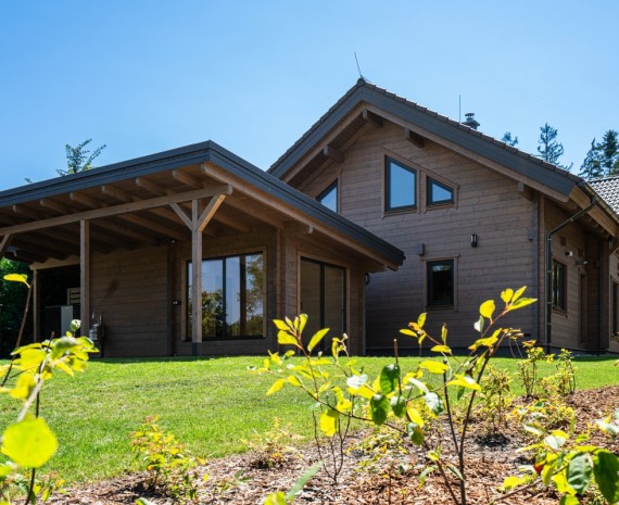 Okolí srubového domu